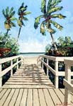 New Boardwalk