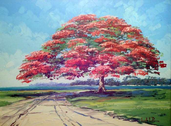 Royal Poinciana 0785 36x48