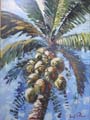 Bright Coconuts 0729 30x40