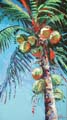 BigCoconuts36x60