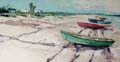 Palm Beach 0519 24x48.jpg 