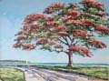 Royal Poinciana 0674 36x48