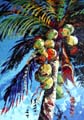 LotsOfCoconuts36x60