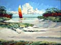 HobieAccess30x40
