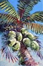 Green Coconuts 0792 24x36