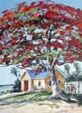 Poinciana30x40