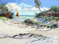 HobieAccess30x40