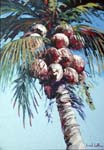 BigBlueCoconuts36x60