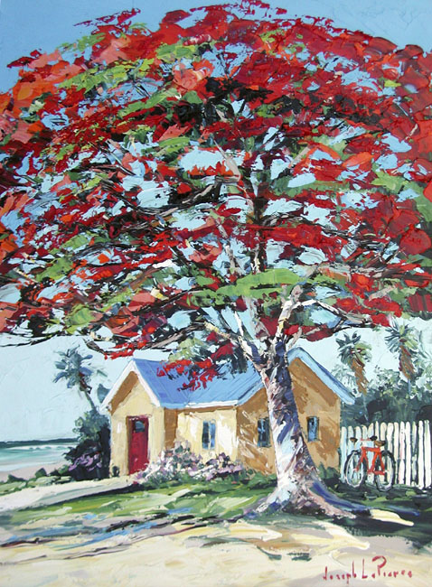 Poinciana30x40