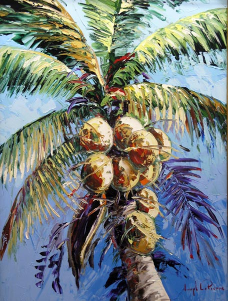 New  Coconuts 629 36x48