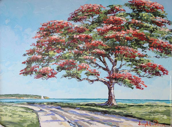 Royal Poinciana 0674 36x48